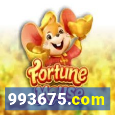 993675.com
