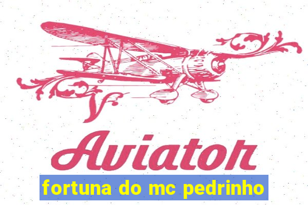 fortuna do mc pedrinho