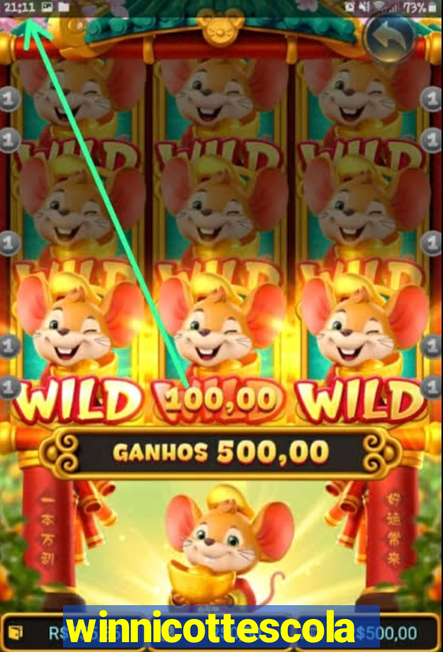 winnicottescola