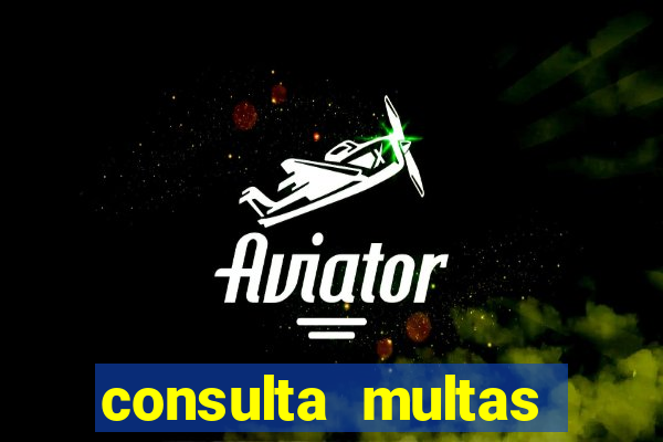 consulta multas detran mg
