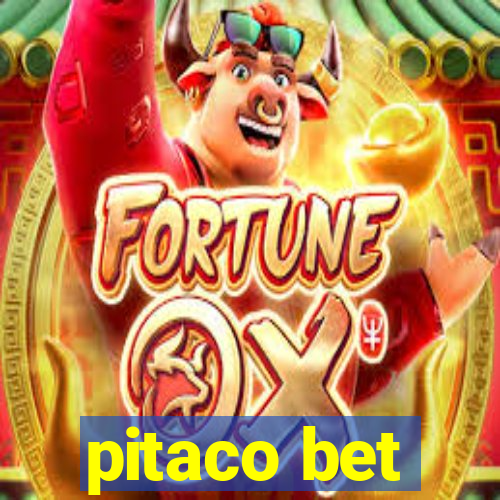 pitaco bet