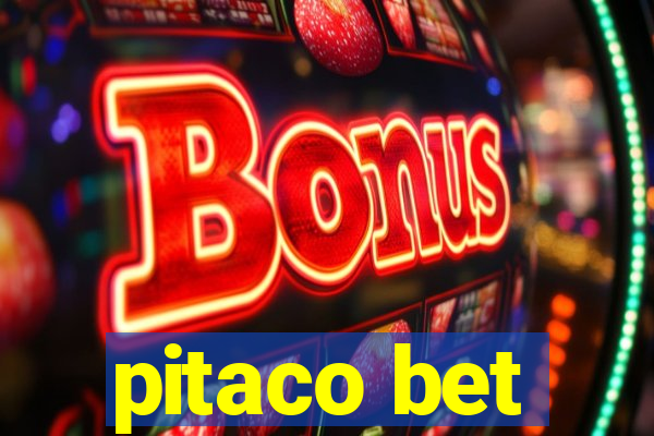 pitaco bet