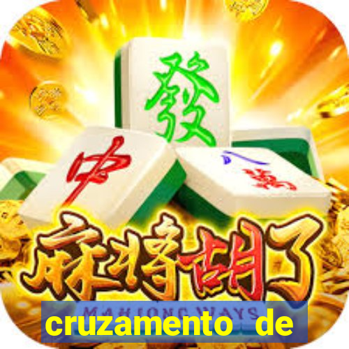 cruzamento de cavalo com mula