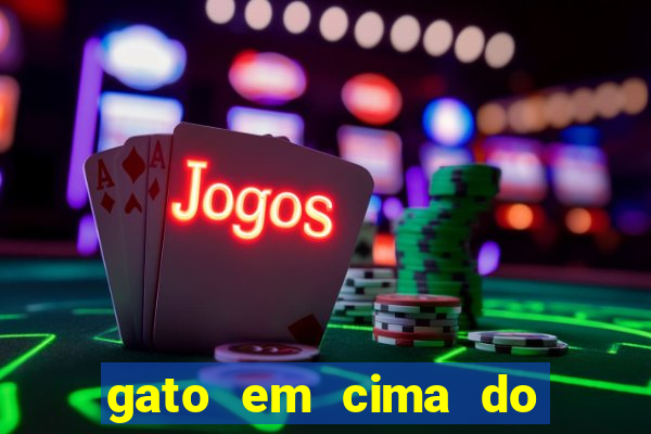 gato em cima do telhado significado espiritual