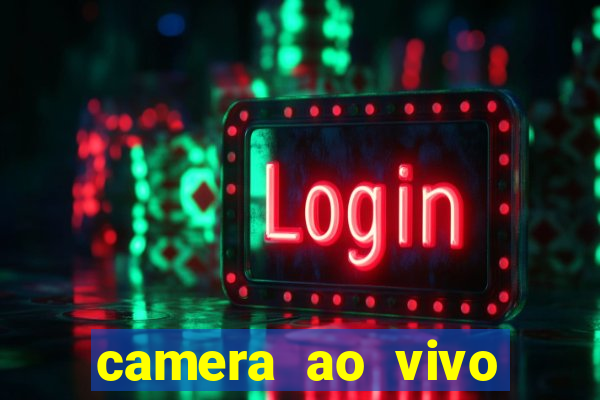 camera ao vivo beto carrero