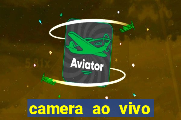 camera ao vivo beto carrero