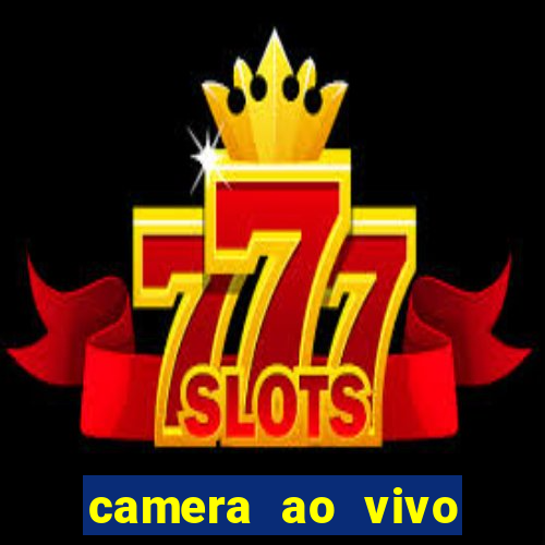 camera ao vivo beto carrero