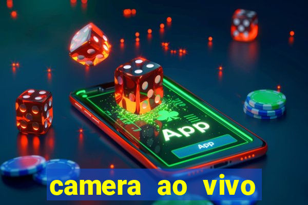 camera ao vivo beto carrero