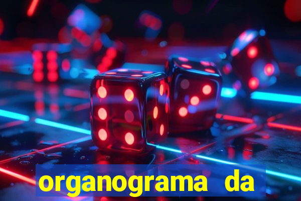 organograma da cacau show
