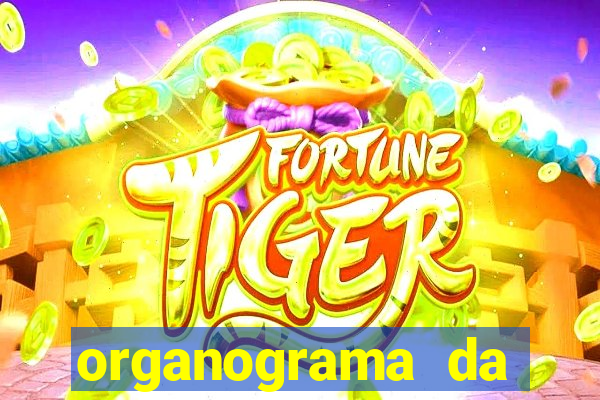 organograma da cacau show