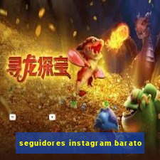 seguidores instagram barato
