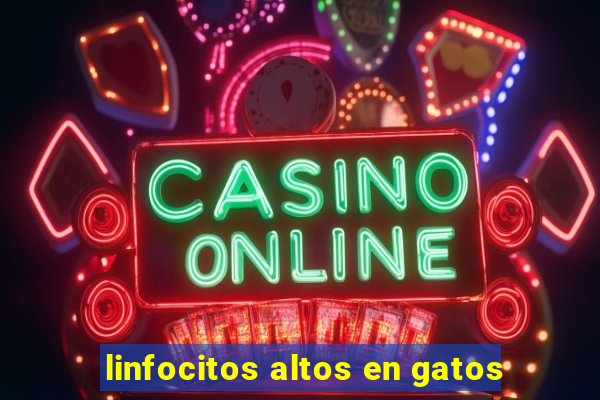 linfocitos altos en gatos