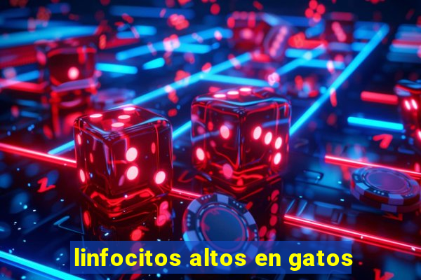 linfocitos altos en gatos