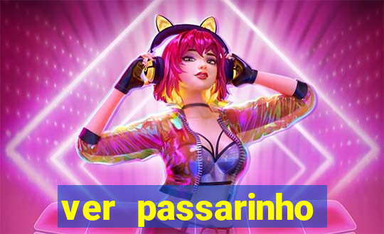 ver passarinho morto significado