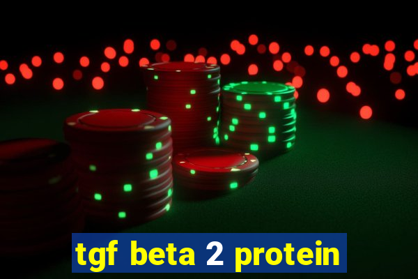 tgf beta 2 protein