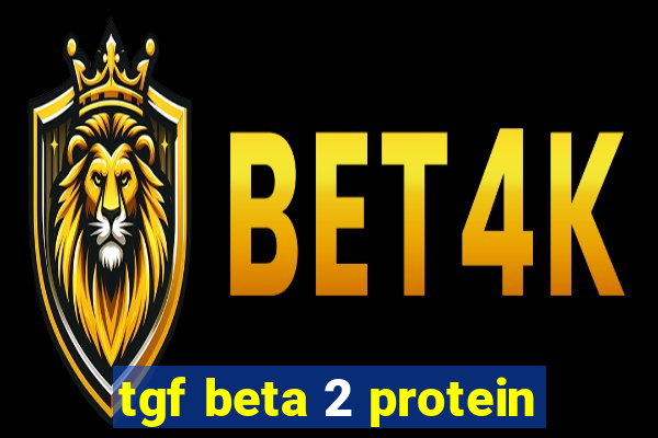 tgf beta 2 protein