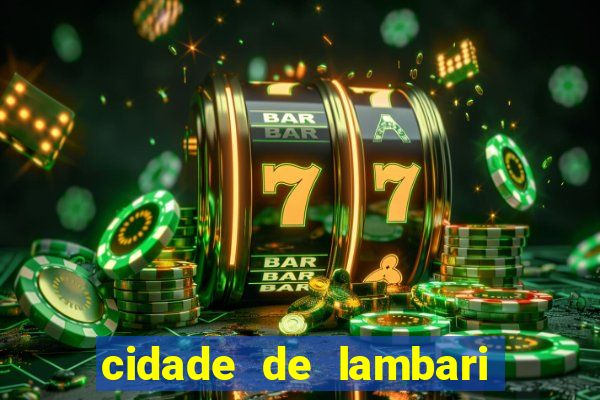 cidade de lambari sao paulo
