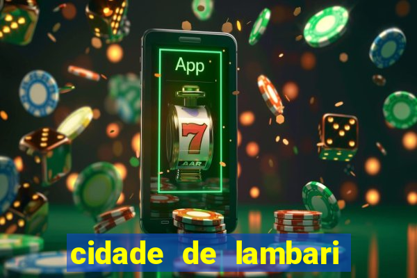 cidade de lambari sao paulo