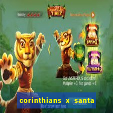corinthians x santa cruz ao vivo hd