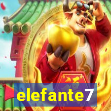 elefante7