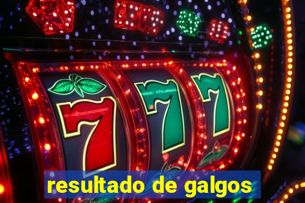 resultado de galgos