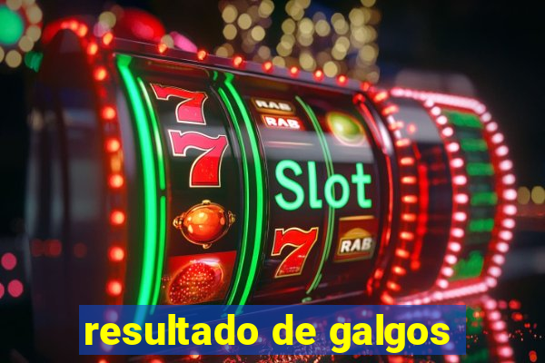 resultado de galgos