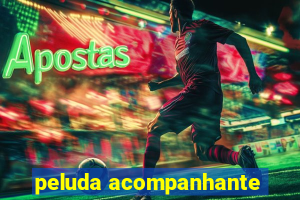 peluda acompanhante