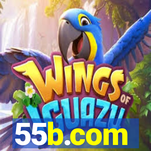 55b.com