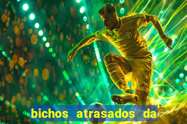 bichos atrasados da loteria federal