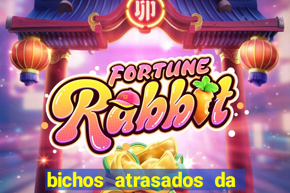 bichos atrasados da loteria federal