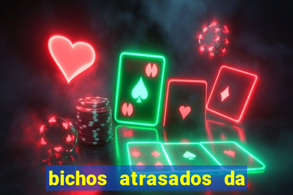bichos atrasados da loteria federal