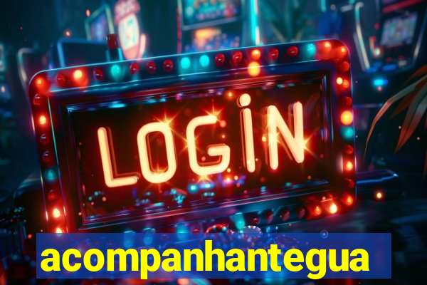 acompanhanteguanambi