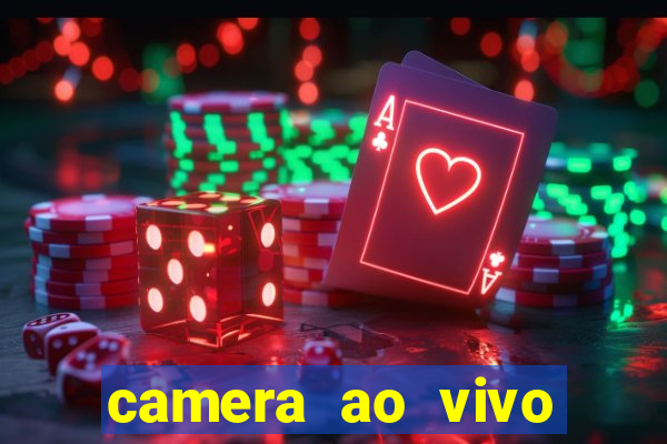 camera ao vivo terminal vila nova cachoeirinha