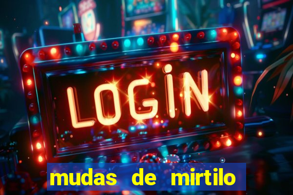 mudas de mirtilo em porto alegre