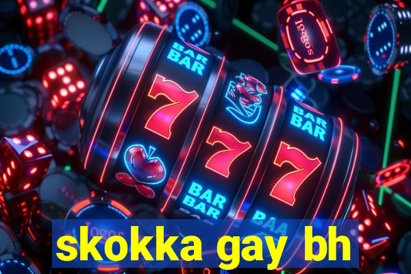 skokka gay bh