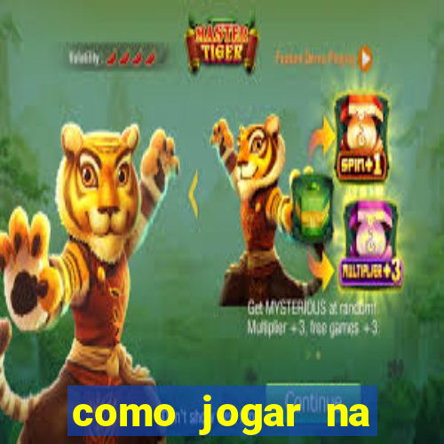 como jogar na lotinha do jogo do bicho