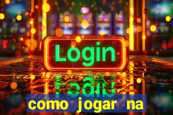 como jogar na lotinha do jogo do bicho