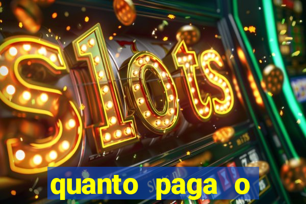 quanto paga o jungle fight