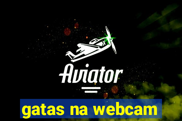 gatas na webcam