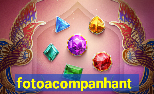 fotoacompanhante.