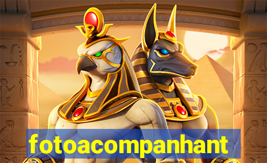 fotoacompanhante.