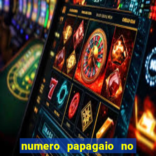 numero papagaio no jogo do bicho