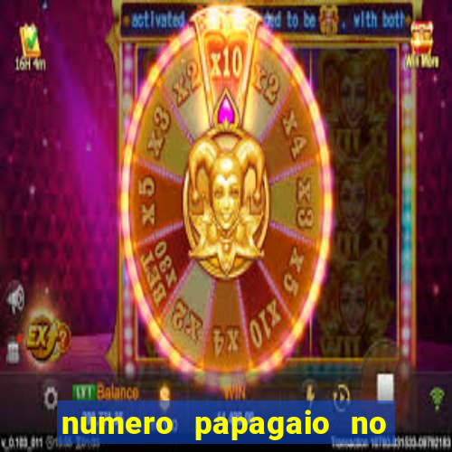 numero papagaio no jogo do bicho