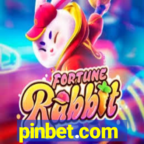 pinbet.com