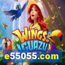 e55055.com