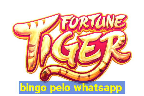 bingo pelo whatsapp