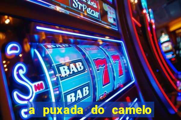 a puxada do camelo no jogo do bicho