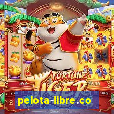 pelota-libre.com