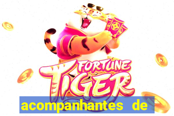 acompanhantes de porto velho