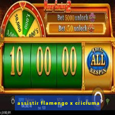 assistir flamengo x criciuma